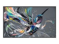 PHILIPS 43BDL3650Q/00 43inch Direct LED 4K Display powered by Android HTML5 browser CMND AND Deploy basic failover LAN